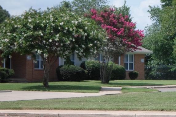 Beautiful flowering trees are planted outside of the Center Pointe Apartments.