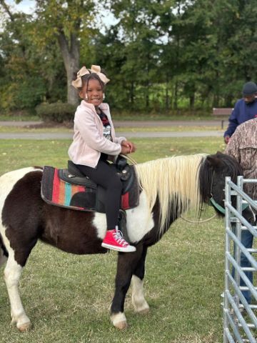 A young girl smiling while sitting on a miniature horse.