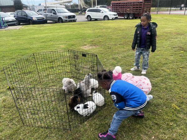 A couple children looking at a pen with bunnies and chickens.